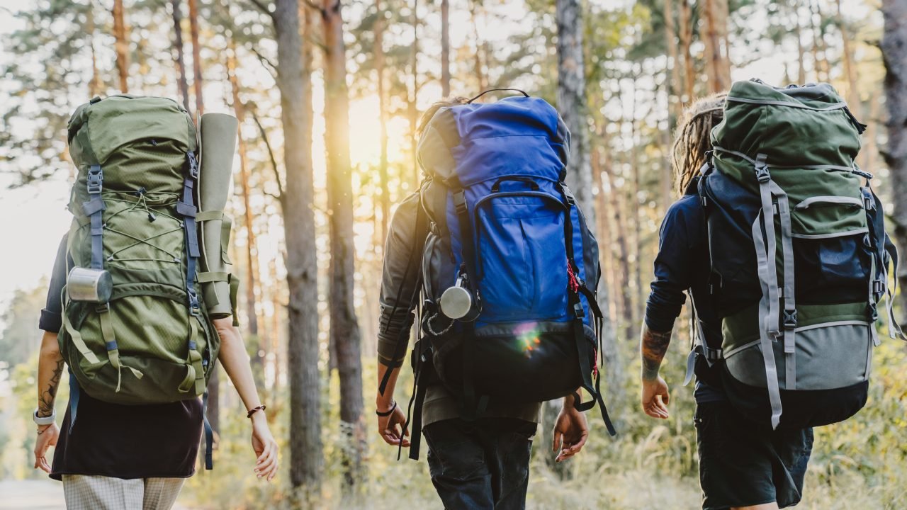 Young friends hiking in forest. Hiker camping in woods, traveling